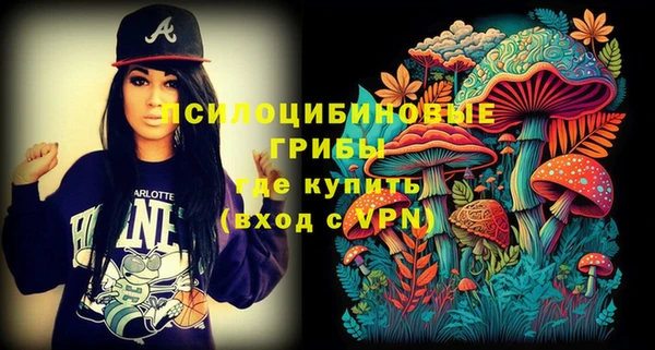 первитин Белокуриха